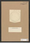 Diatomeae indet. Zeichnungen Sammlung Grunow Nr. 5063 (NHMW-BOT-W0373329)